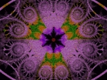 PURPLE FRACTAL