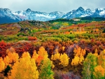 Autumn Colors In Colorado