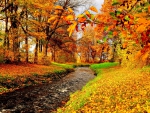 AUTUMN CREEK