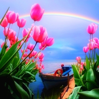 Spring Rainbow