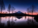 Mt. Fuji