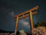 Torii Gate
