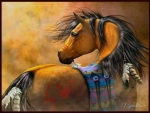 Native American Pony - Horse F1