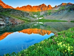 LAKE at SUNRISE in SAN JUAN MOUNTAINS with FLOWERS