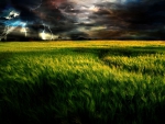 Dark and Cloudy Sky over Field - hdr