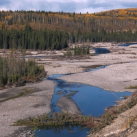 Fall in Kananaskis, Elbow river