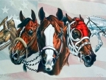 Horse Heads F1