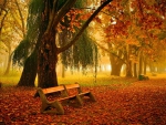 Autumn park
