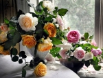 Beautiful roses