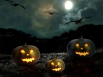 Halloween Jack-O-Lanterns