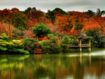 Autumn Lake