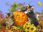 Halloween Kittens