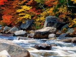 Autumn River