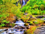 WATERFALL in the LATE SUMMER FOREST
