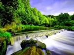 SPLENDID GREEN FOREST WATERFALL