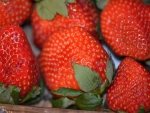 Strawberries