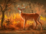 Deer in autumn forest