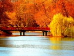 Autumn Bridge