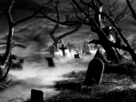 Foggy Night In The Graveyard