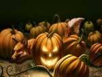 Fox In The Pumpkin Patch
