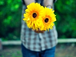 Sunflowers for you