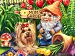 Yorkshire Terrier and Gnome F1