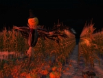 Haunted Cornfield