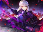 Saber Alter