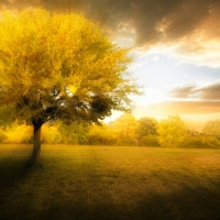 Autumn Shining Begins