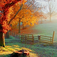 Autumn morning