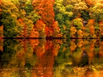 Autumn mirror