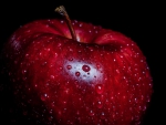 Red apple