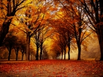 Golden Fall