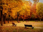 Autumn Park