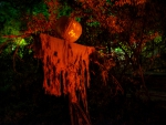 Halloween Scarecrow