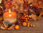 Autumn Candle