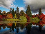 Autumn In Sheffield Park Garden