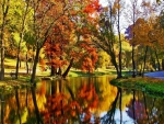Beautiful Autumn Park