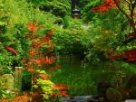 Kyoto Garden