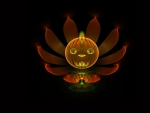 pumpkin lotus