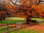 Autumn In The Country