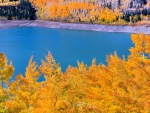 TARQUOISE LAKE in AUTUMN