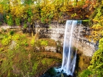 WATERFALLS from the FOREST in the AUTUMN