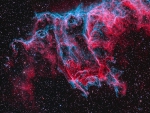 A Spectre in the Eastern Veil
