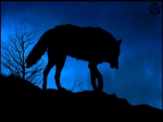 Wild silouhette