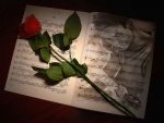With a rose and a song I will come to your mind...