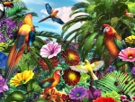 Jungle Parrots F1