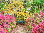Autumn Bench