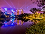 SINGAPORE CITY AT NIGHT