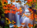 â˜…Stunning Fallsâ˜…